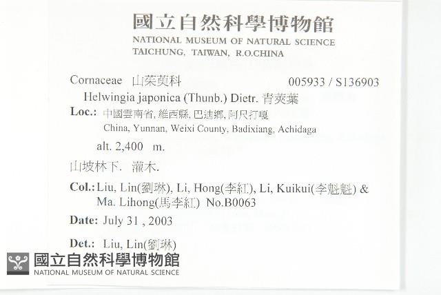 青莢葉藏品圖，第2張