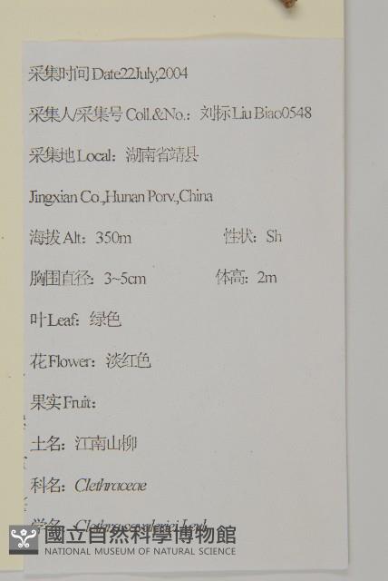 江南山柳藏品圖，第2張