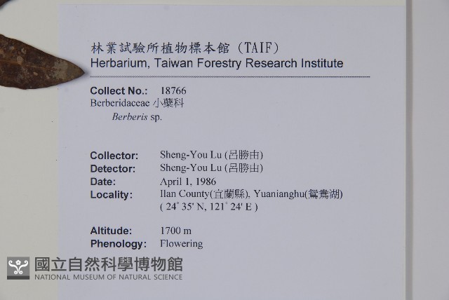 南湖小蘗藏品圖，第2張