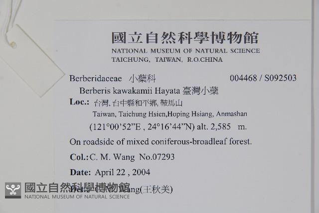 臺灣小蘗藏品圖，第2張