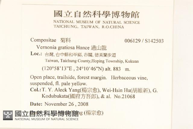 過山龍藏品圖，第2張