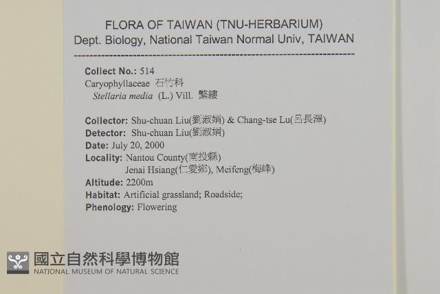 繁縷藏品圖，第2張