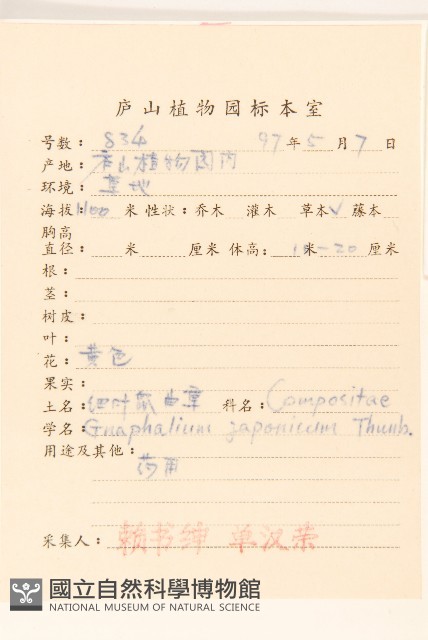 父子草、天青地白藏品圖，第2張