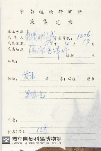 華杜英藏品圖，第2張