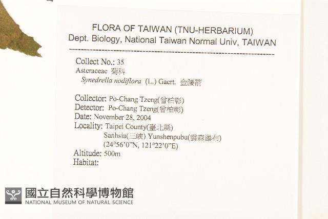 金腰箭藏品圖，第2張