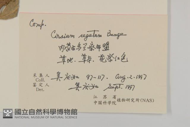 登錄號:S056013藏品圖，第2張