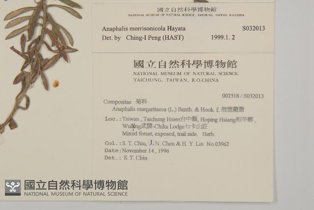 玉山抱莖籟簫藏品圖，第2張