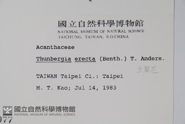 立鶴花藏品圖，第2張