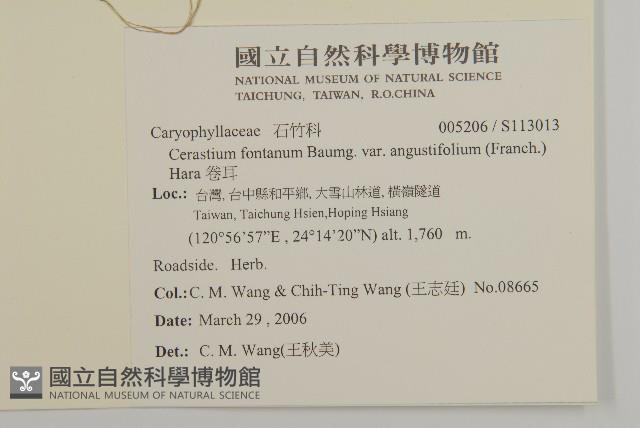 卷耳藏品圖，第2張