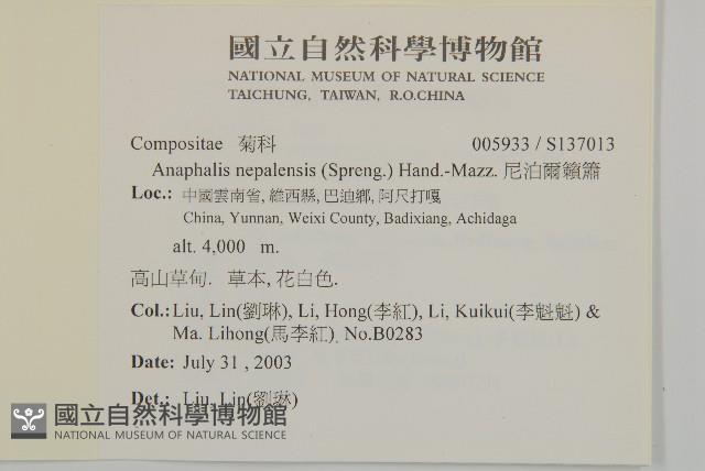 尼泊爾籟簫藏品圖，第2張