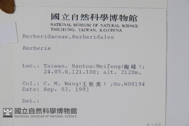 日本小檗藏品圖，第2張