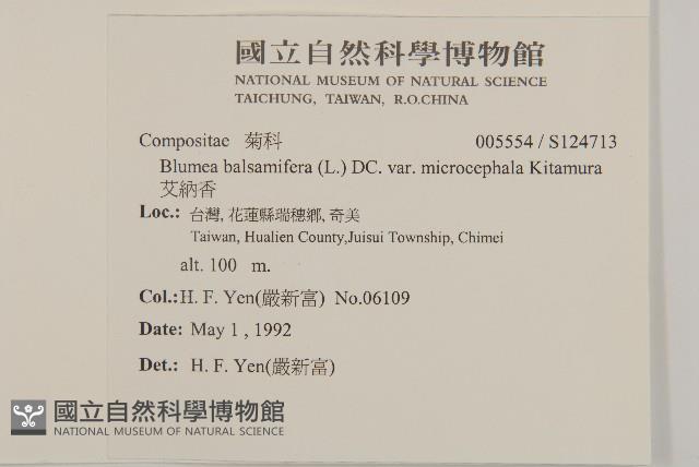 艾納香藏品圖，第2張