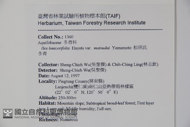 松田氏冬青藏品圖，第2張