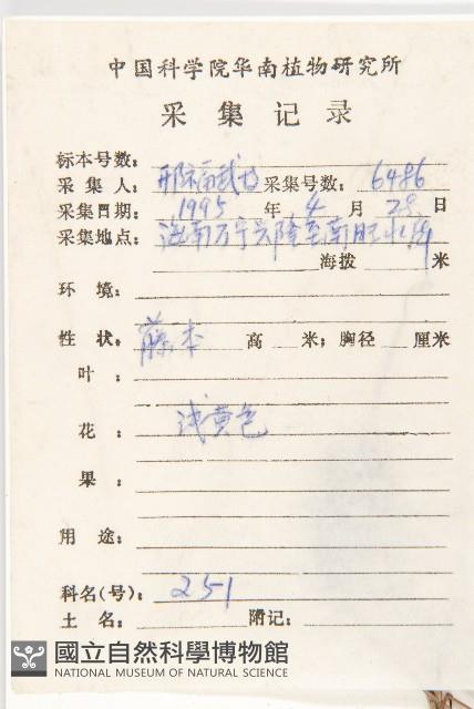 野牽牛藏品圖，第2張