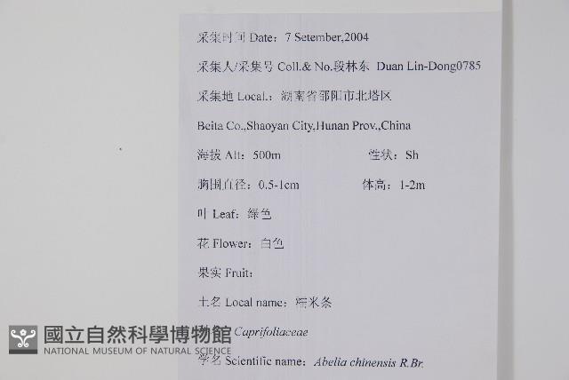 臺灣糯米條藏品圖，第2張