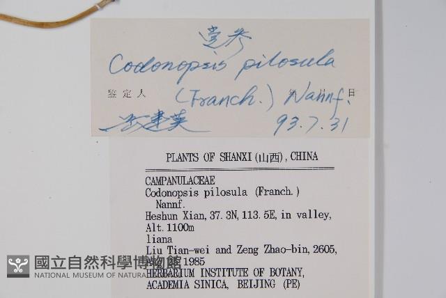 台參藏品圖，第2張