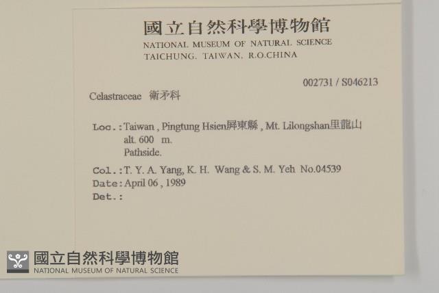 登錄號:S046213藏品圖，第2張