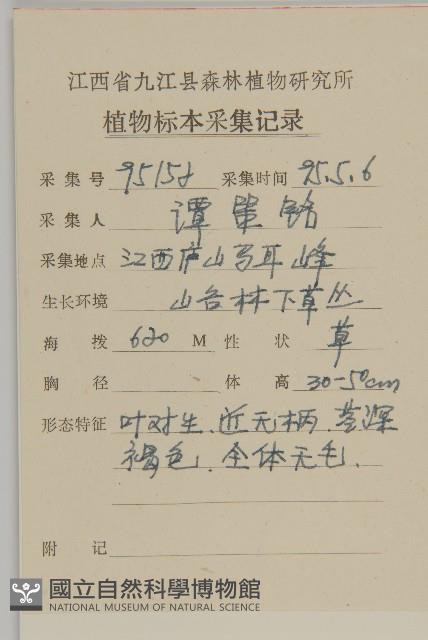 中國繁縷藏品圖，第2張