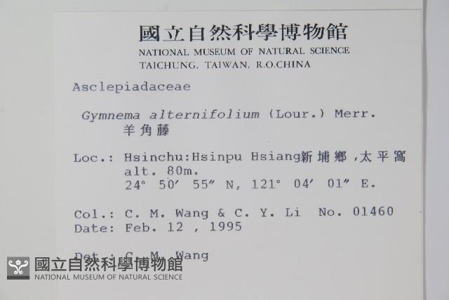 羊角藤、武靴藤藏品圖，第2張