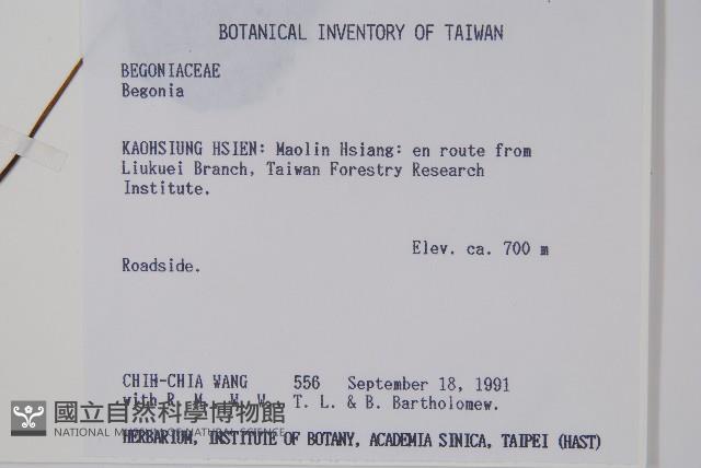 登錄號:S034213藏品圖，第2張