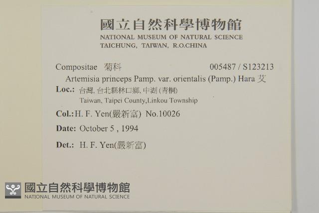 艾、五月艾藏品圖，第2張