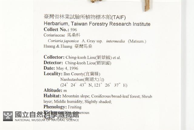 臺灣馬桑藏品圖，第2張