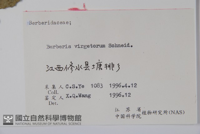 廬山小檗藏品圖，第2張
