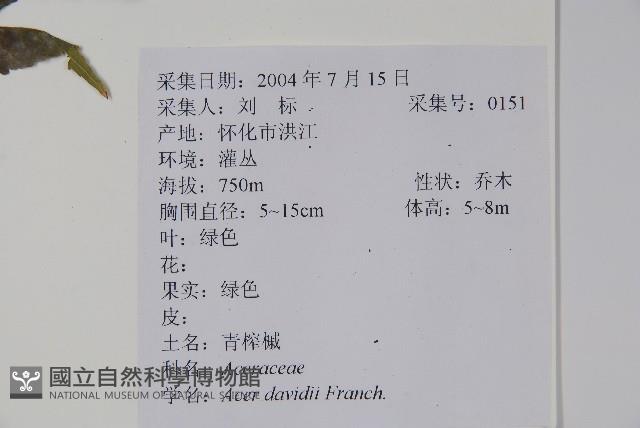 Lutao Copper leaf Collection Image, Figure 2, Total 3 Figures