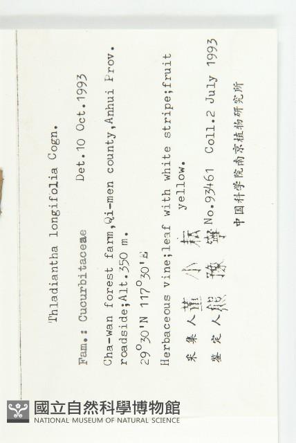 長葉赤瓟藏品圖，第2張