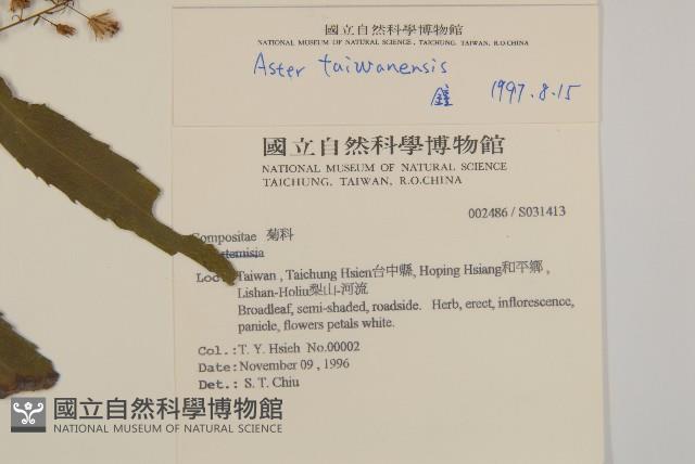 臺灣馬蘭藏品圖，第2張