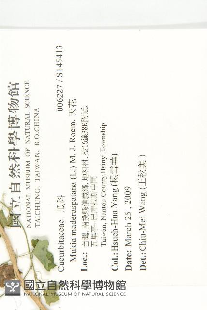 天花藏品圖，第2張