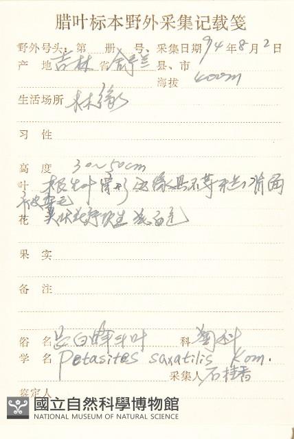 長白蜂斗菜藏品圖，第2張