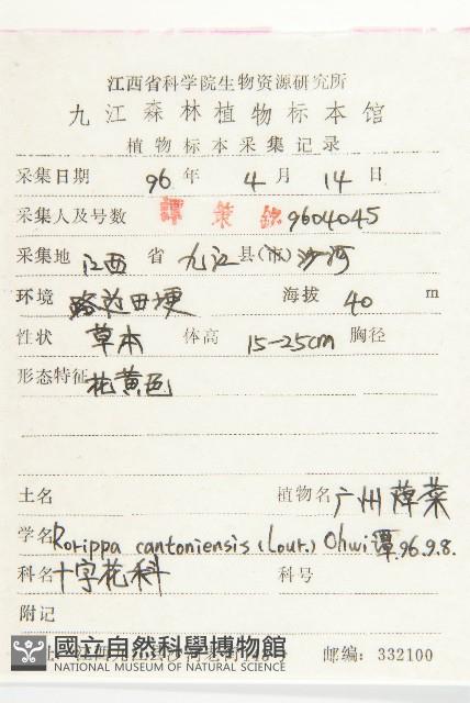 廣東葶藶藏品圖，第2張