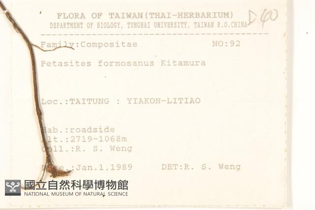 臺灣款冬藏品圖，第2張