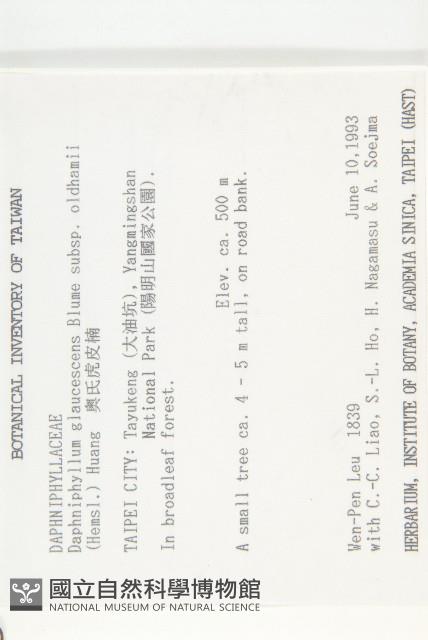 耿氏虎皮楠藏品圖，第2張