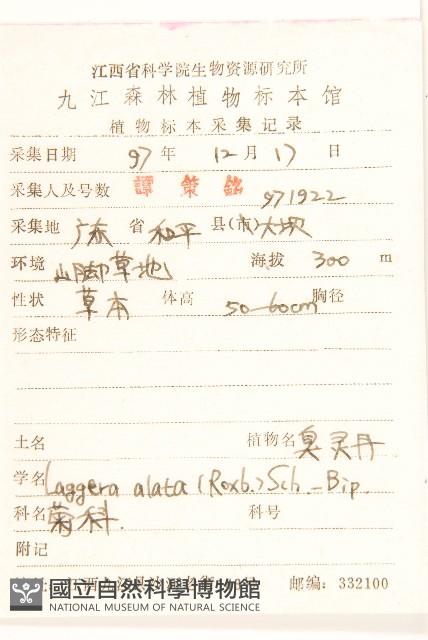 六角草藏品圖，第2張