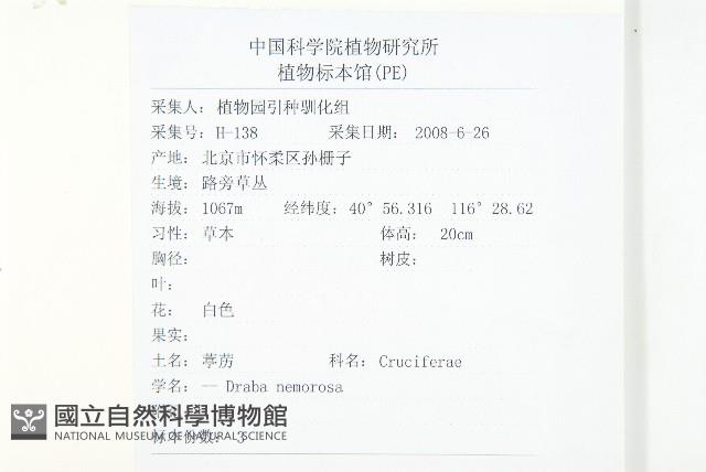 葶藶藏品圖，第2張