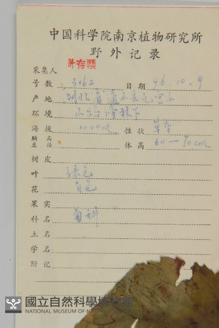 下田菊藏品圖，第2張