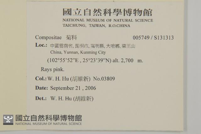 登錄號:S131313藏品圖，第2張