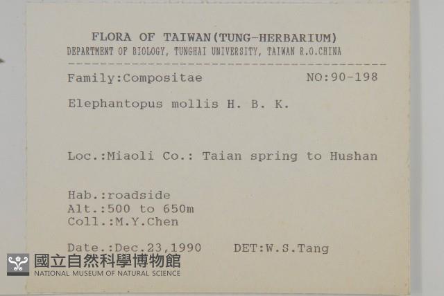 地膽草、毛蓮菜藏品圖，第2張