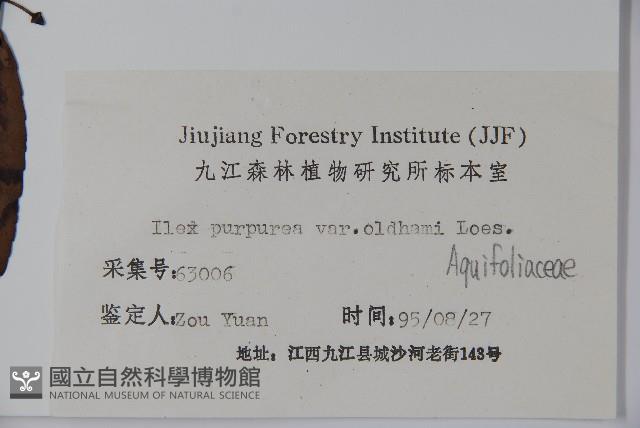 冬青藏品圖，第2張