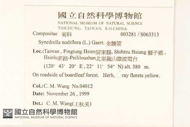 金腰箭藏品圖，第2張