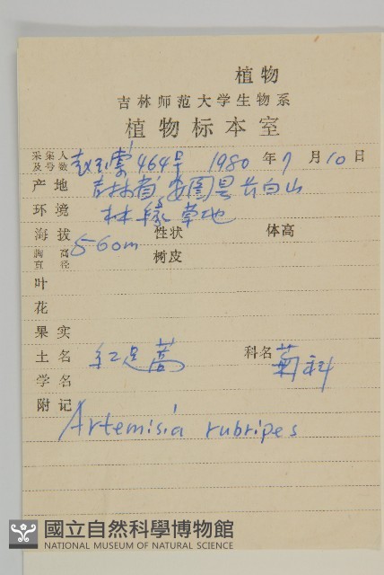 紅足蒿藏品圖，第2張