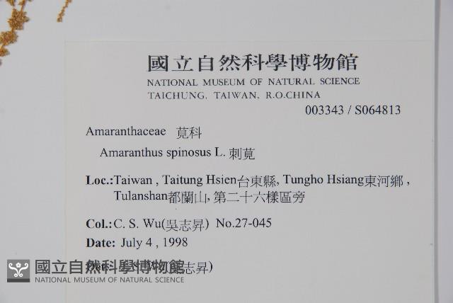 刺莧藏品圖，第2張