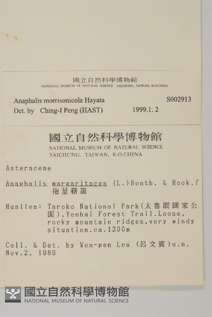 玉山抱莖籟簫藏品圖，第2張