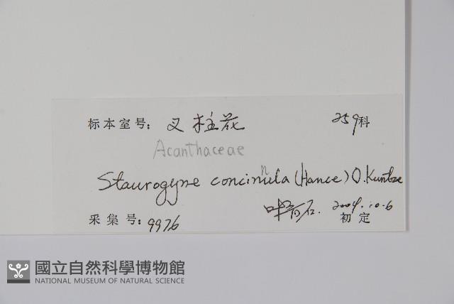 哈哼花藏品圖，第2張