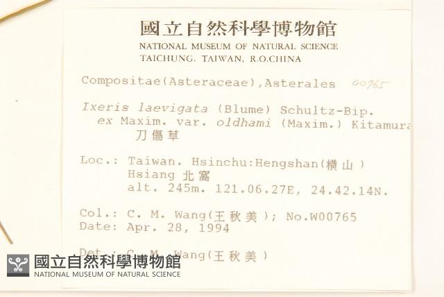 刀傷草藏品圖，第2張