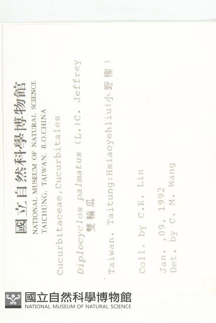 雙輪瓜藏品圖，第2張