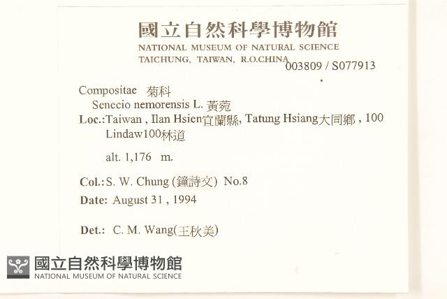 黃菀藏品圖，第2張