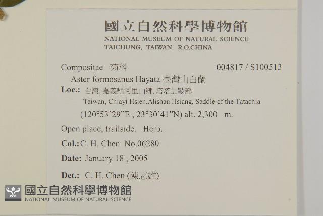 臺灣山白蘭藏品圖，第2張